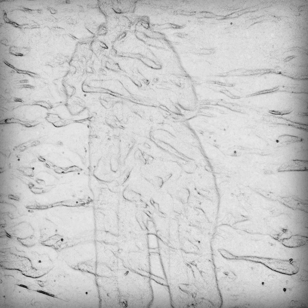 Photograph by Marco de Giosa