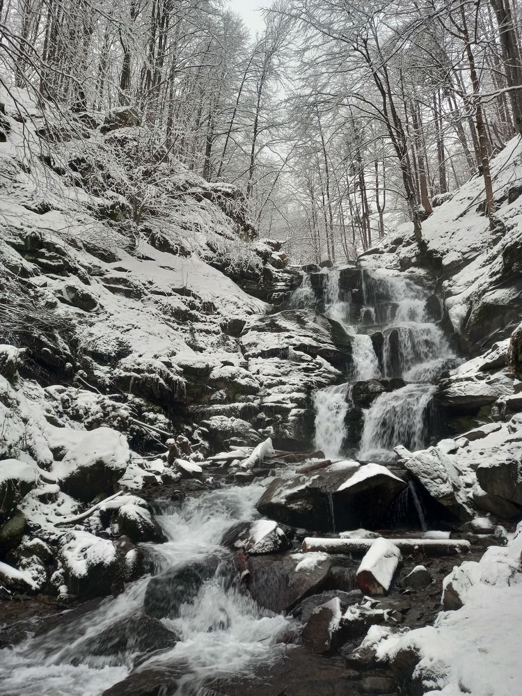 Photograph by Наталія Дронюк