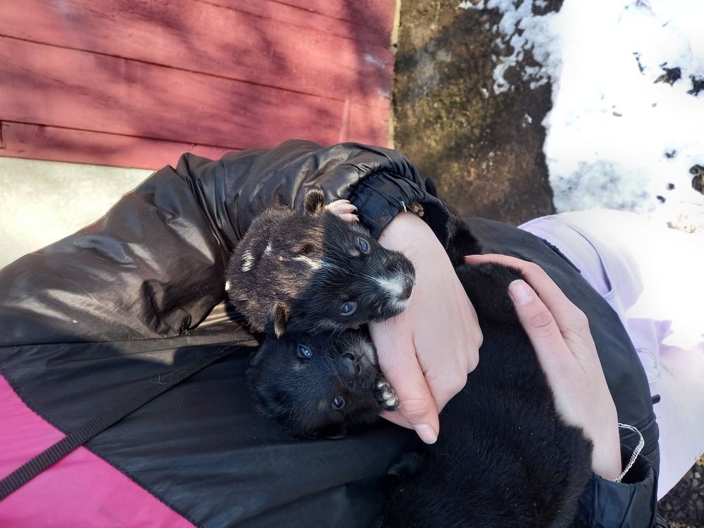 Photograph by Наталія Дронюк