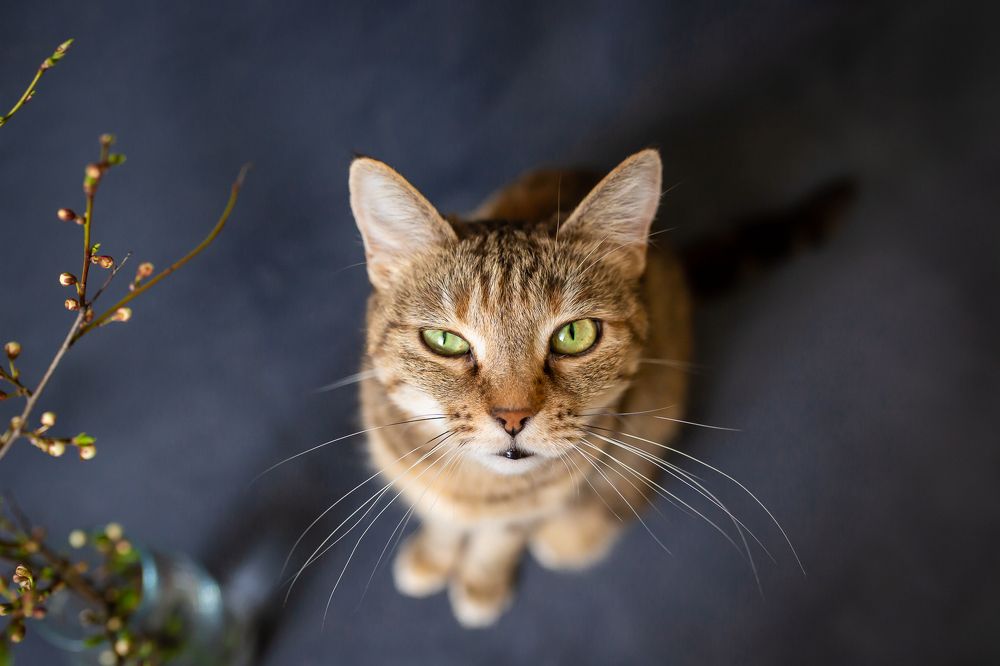 Photograph by Юлия Воловик