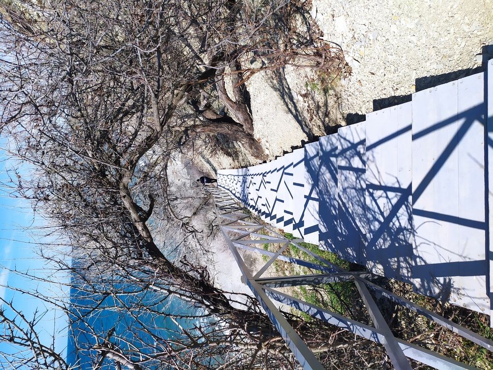 Photograph by Liza Davydova