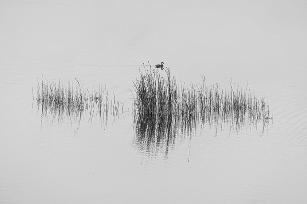 Photograph by Pablo Cabrera