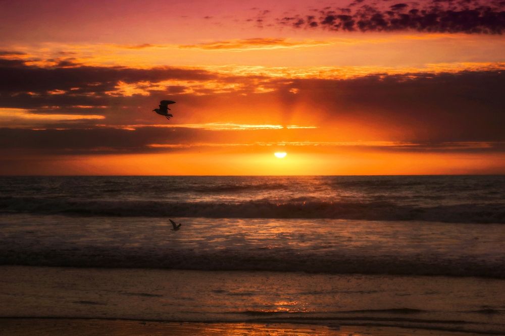 Photograph by Viviana García