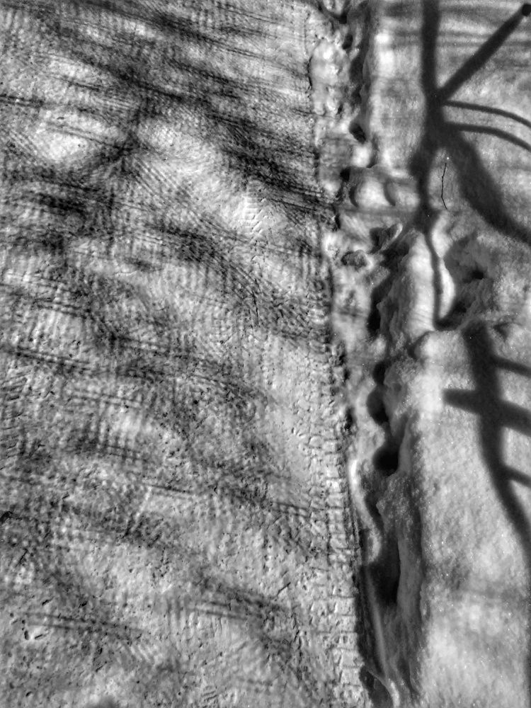 Photograph by Liza Davydova