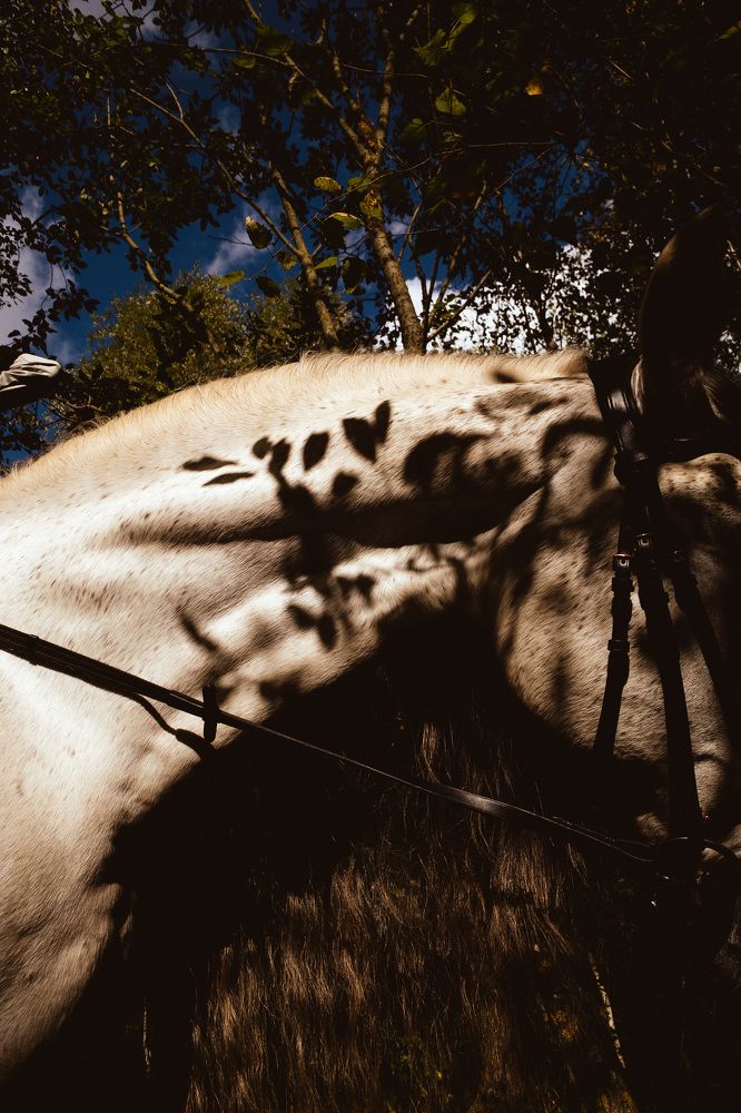 Photograph by Lisa Buzova