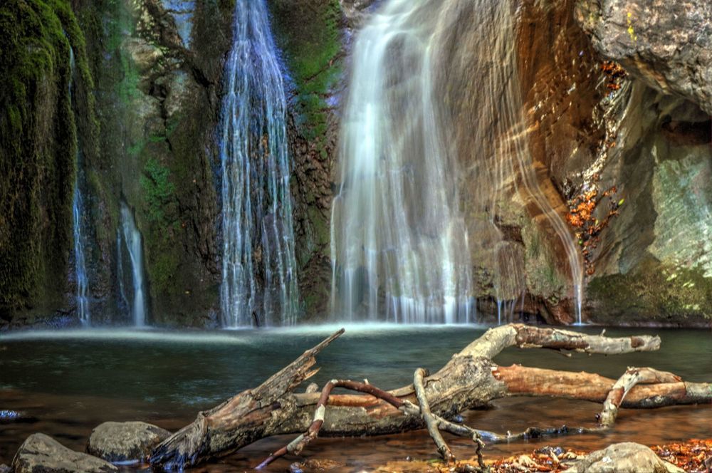 Фотография автора Rena Nikola