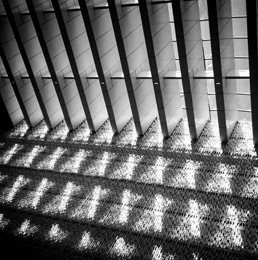 Photograph by Atefeh Karimzadeh