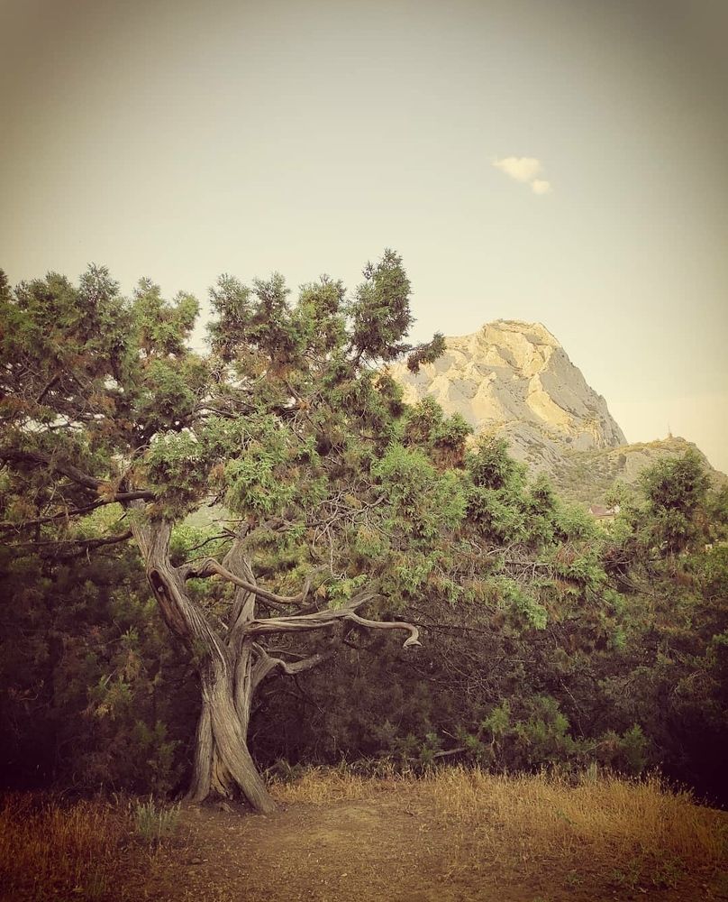 Photograph by Наталья Кошелева