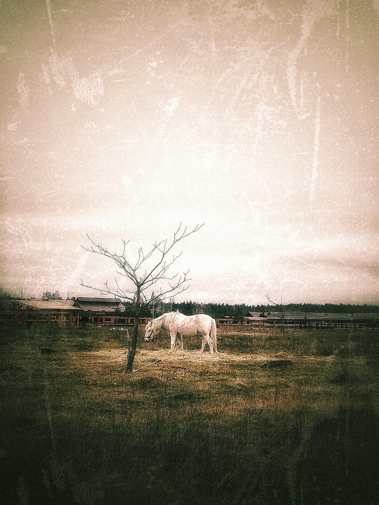 Photograph by Наталья Кошелева