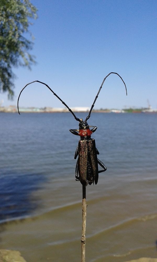 Photograph by Нина Паршина