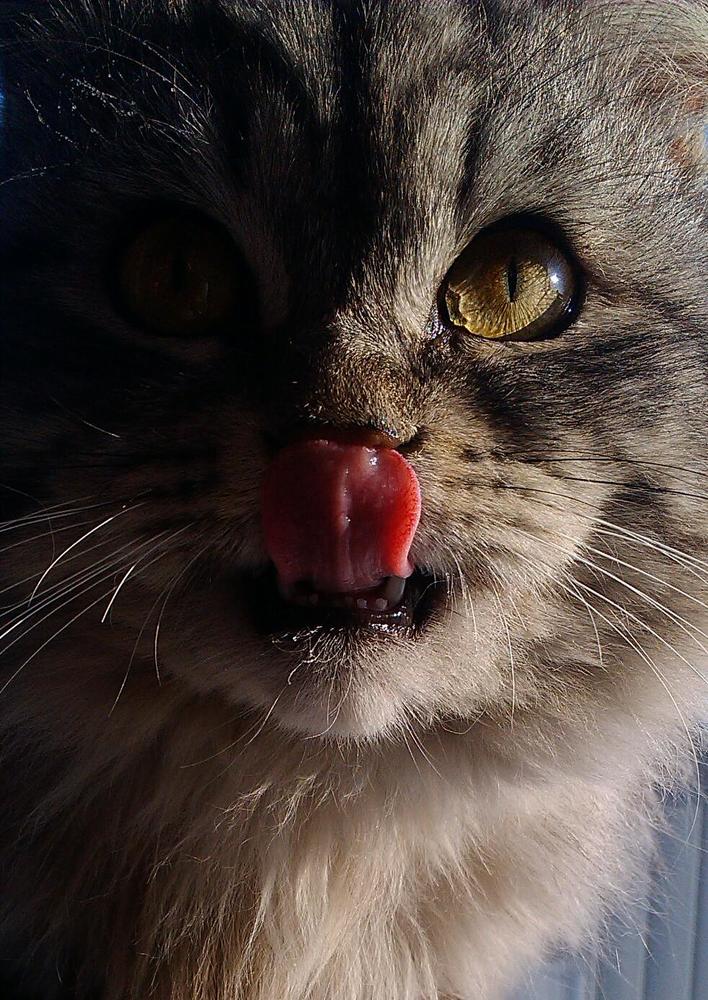 Photograph by Максим Шарыгин