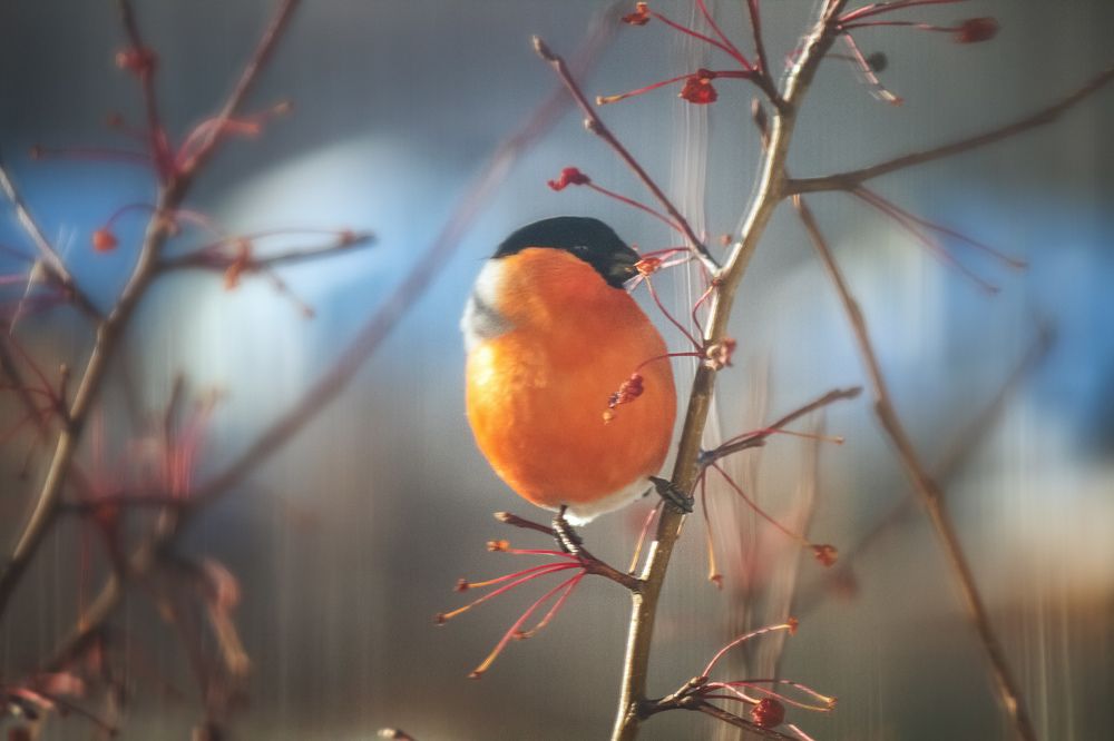 Photograph by Ирина Антонова