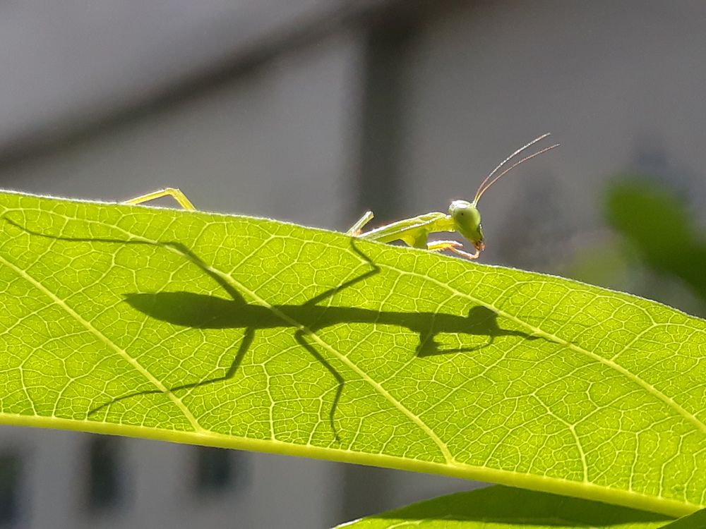 Photograph by sandi nopriyanto