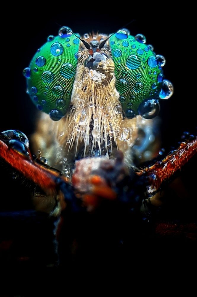 Photograph by sandi nopriyanto