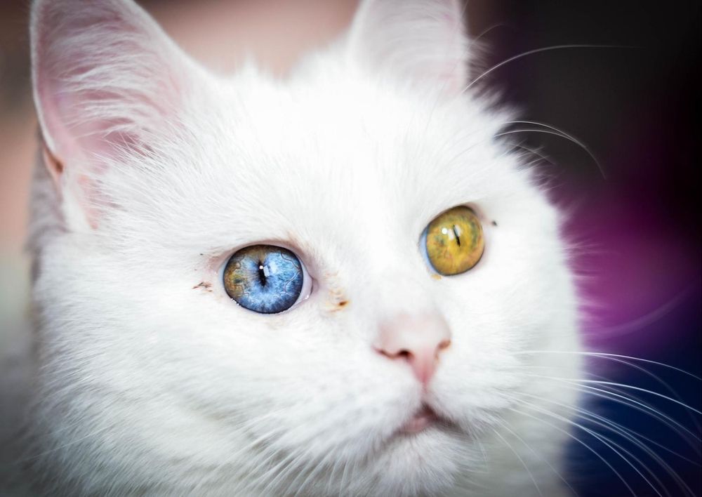 Photograph by Алена Лындаева