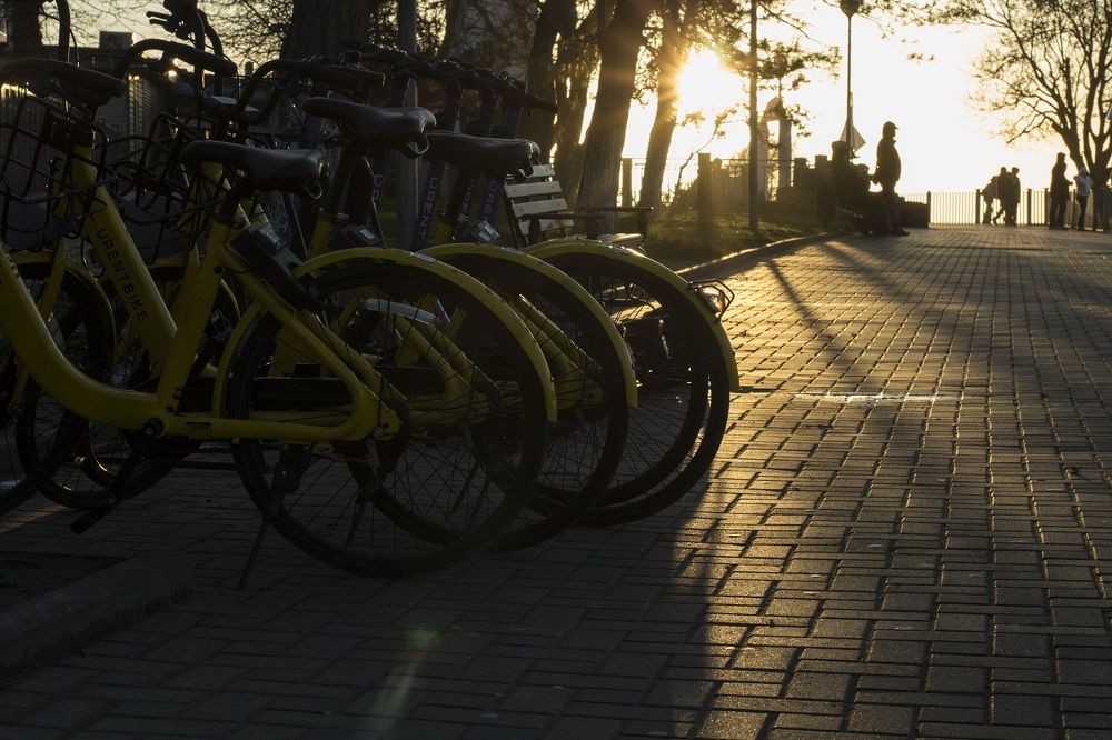 Photograph by Ерохина Светлана Юрьевна