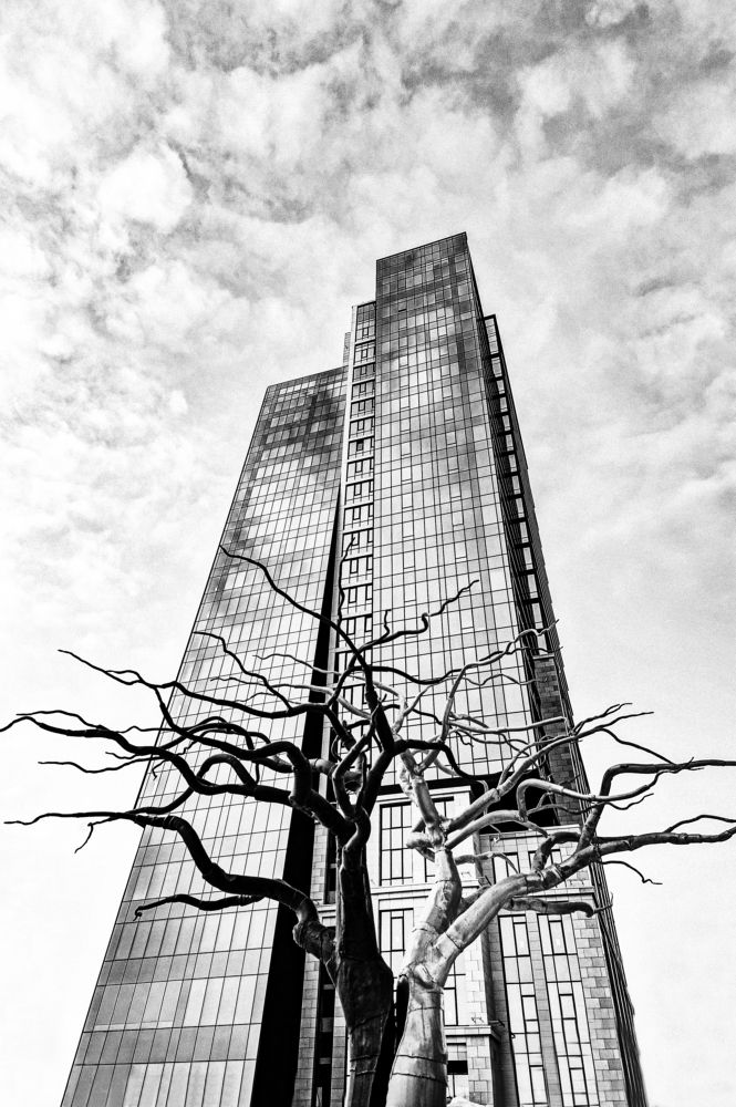 Photograph by Сергей Андрейчук