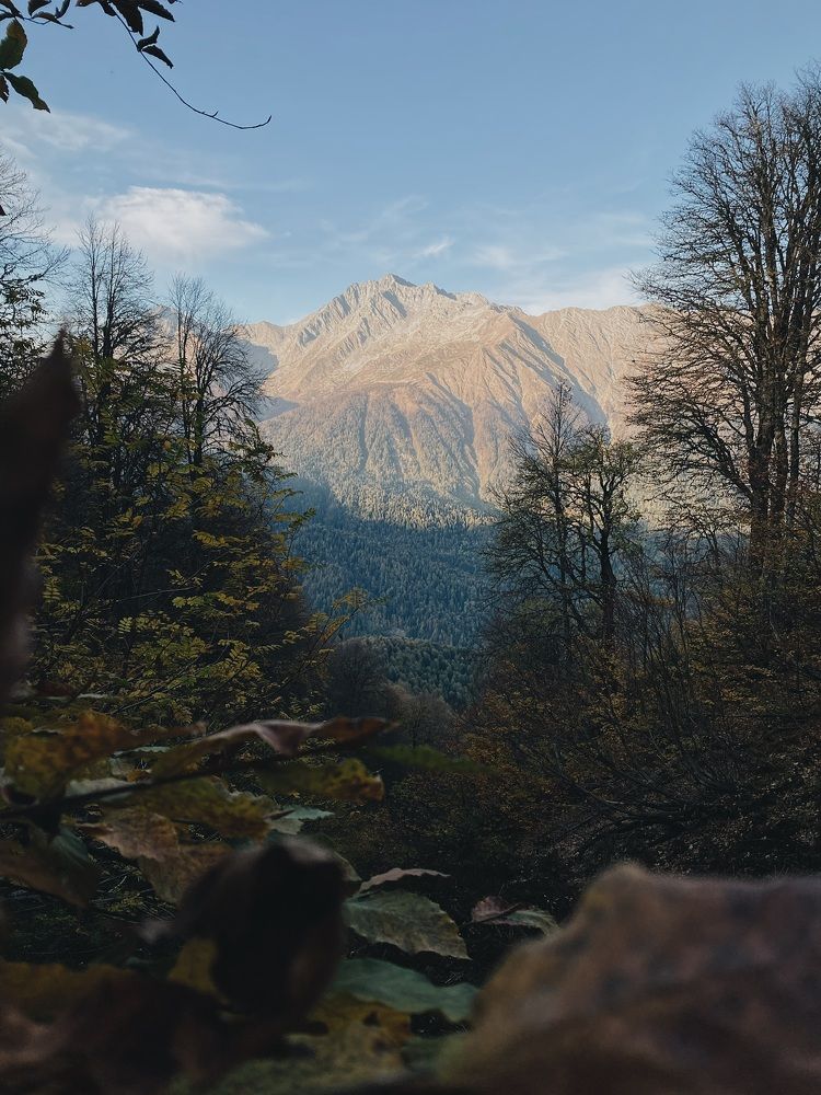 Photograph by Дарья Зайкина