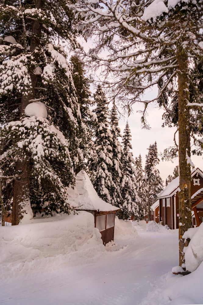 Photograph by Елена Шерстнева