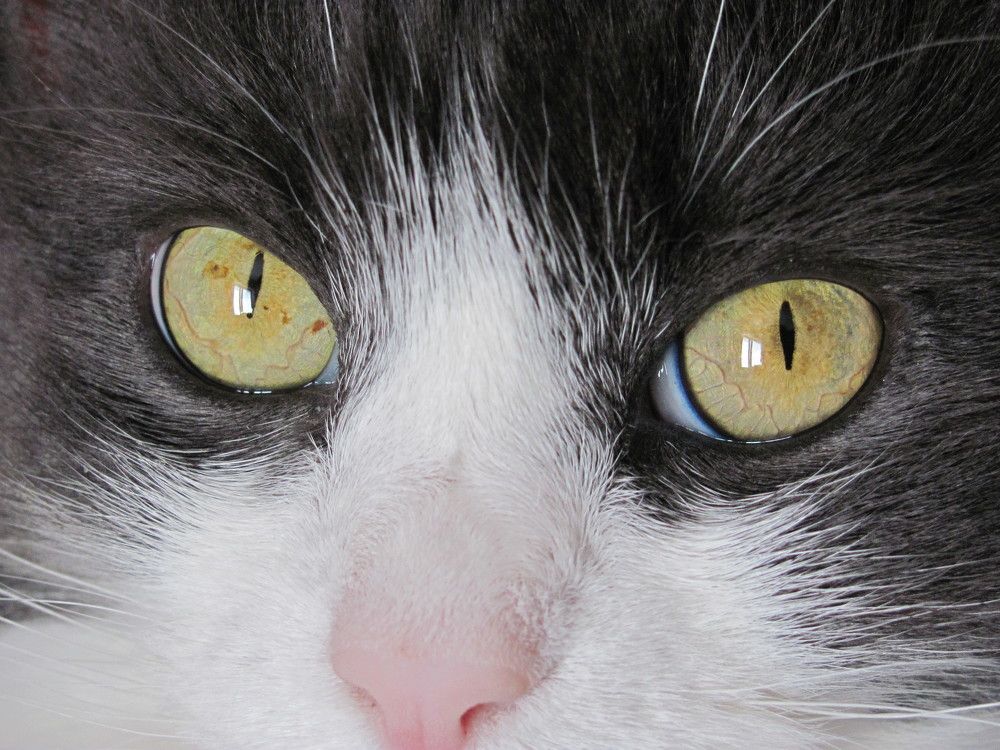 Photograph by Юлия