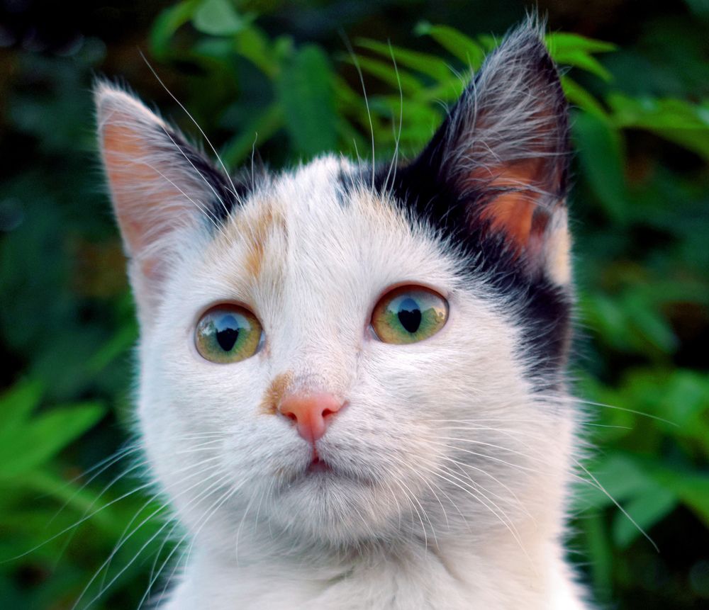 Photograph by Татьяна Дорожко