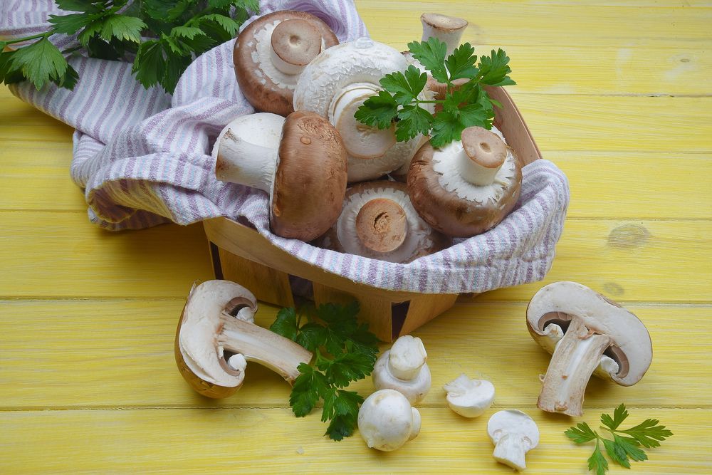 Photograph by Антонина Ягущина