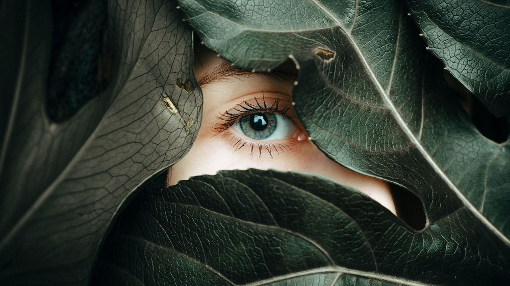 Photograph by Данил Прокопенко