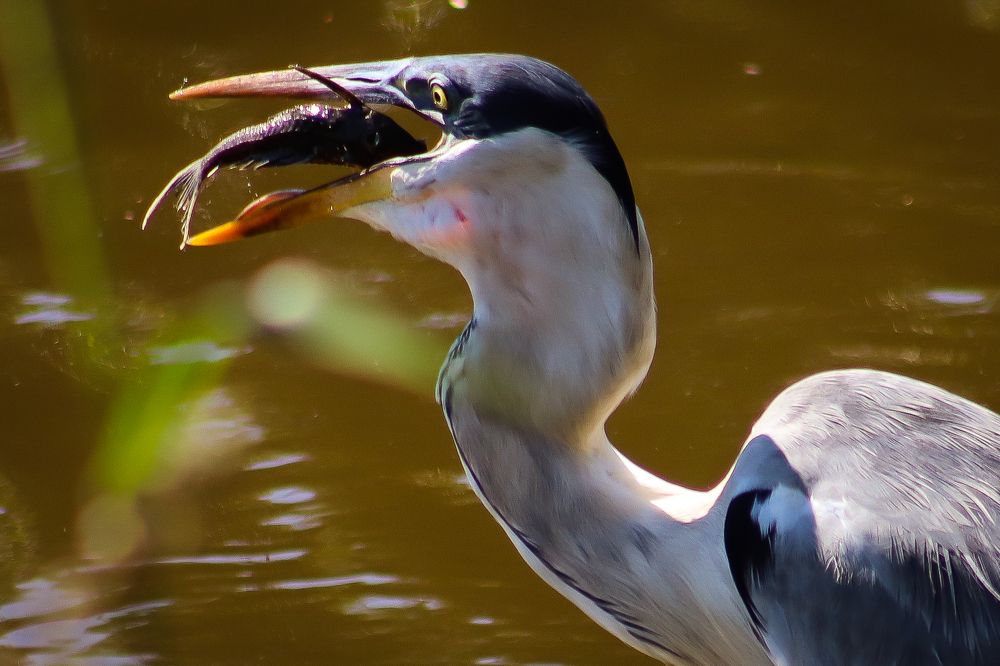 Photograph by Sônia Maria de Oliveira