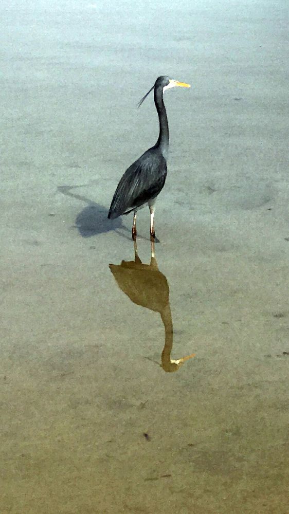 Photograph by Мария Берёзка