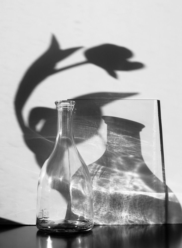 Photograph by Ирина Грязнова