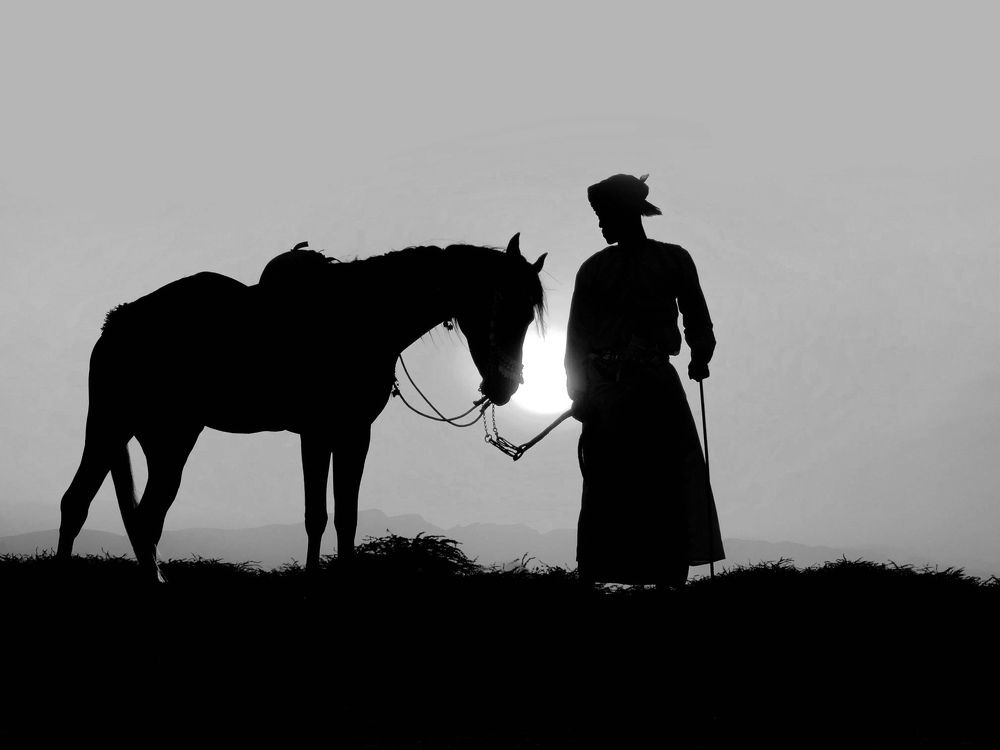 Photograph by abdulmajeed al hatarush