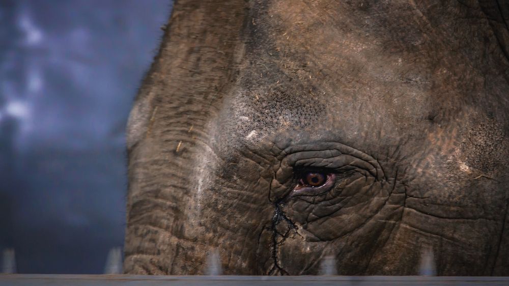 Photograph by Ислам Мирсаитов