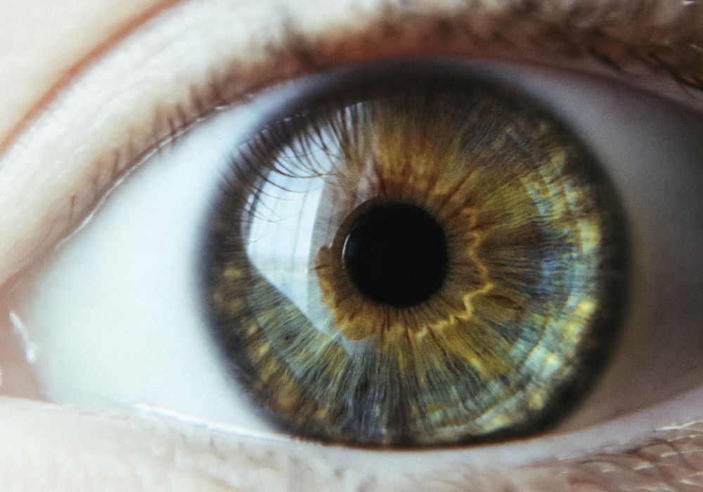 Photograph by Анна Михеева