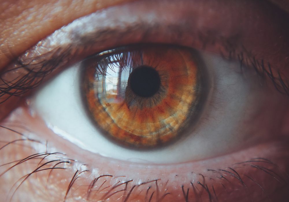 Photograph by Анна Михеева