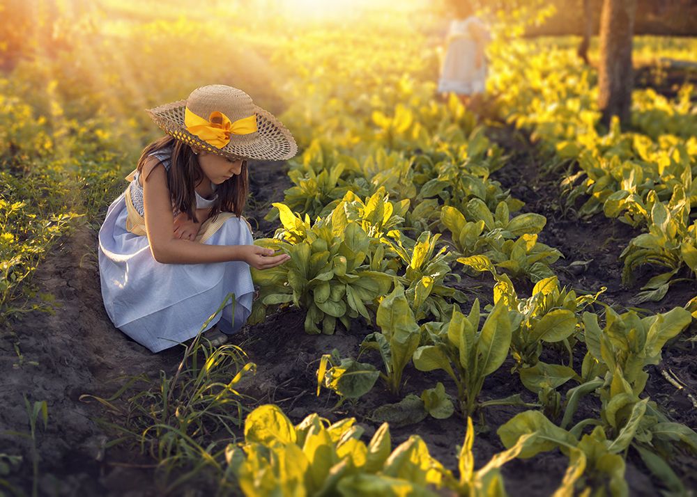 Photograph by Carolina Lavignolle