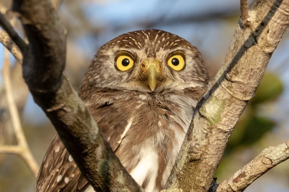 Photograph by Miguel Diaz