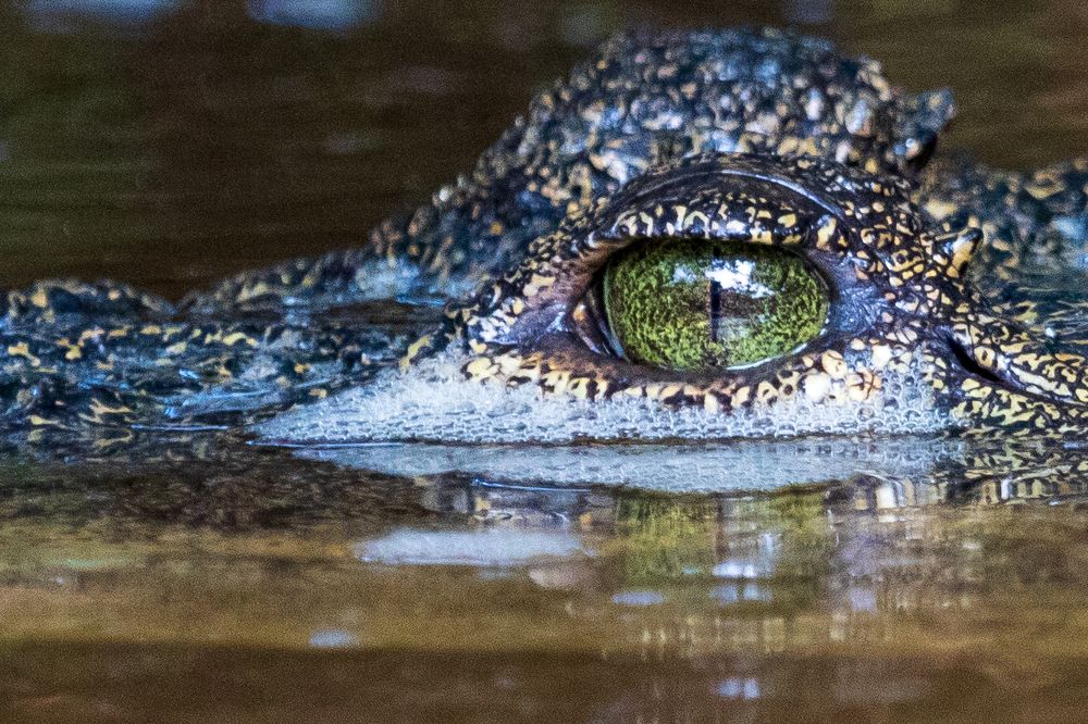 Photograph by Miguel Diaz