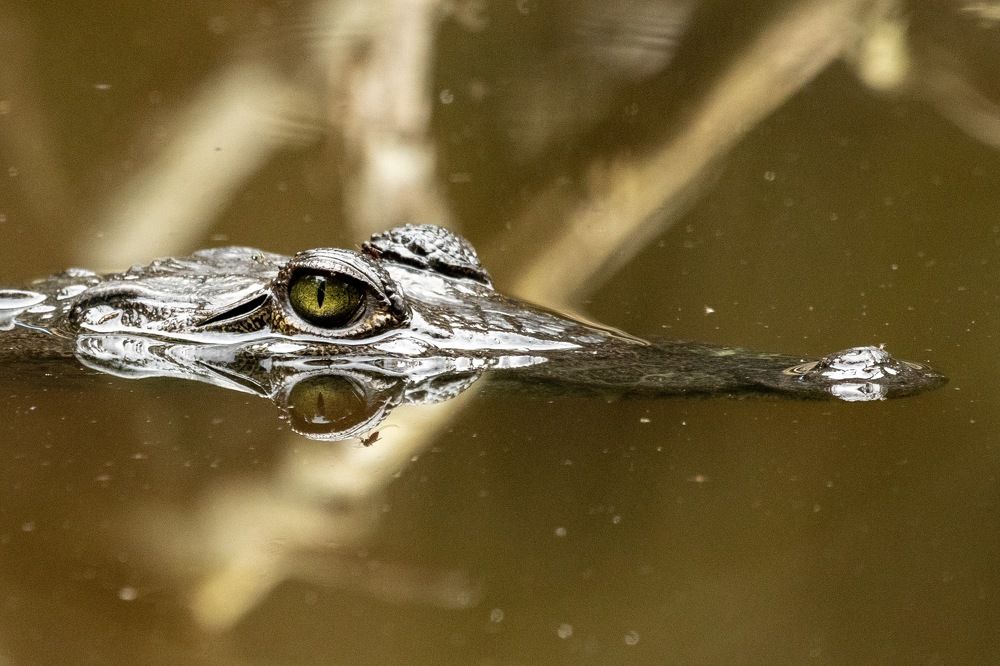 Photograph by Miguel Diaz