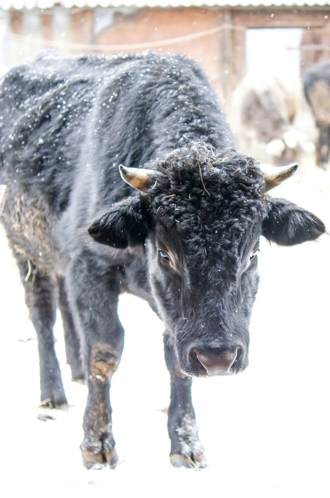 Photograph by Марина Крюкова