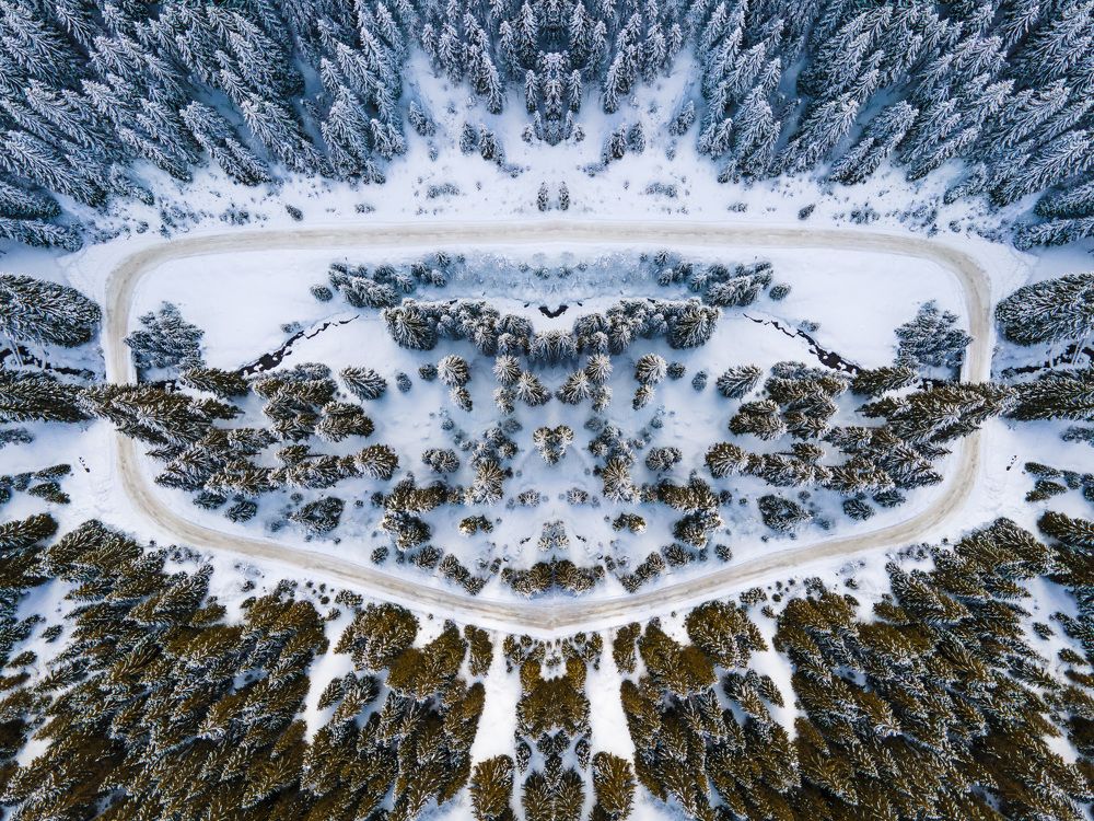 Photograph by Barbu Laurentiu