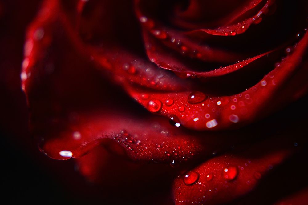 Photograph by Ирина Ситникова