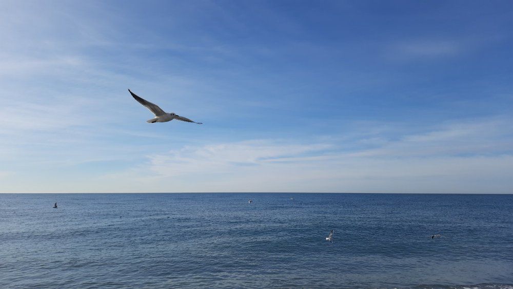 Море в феврале