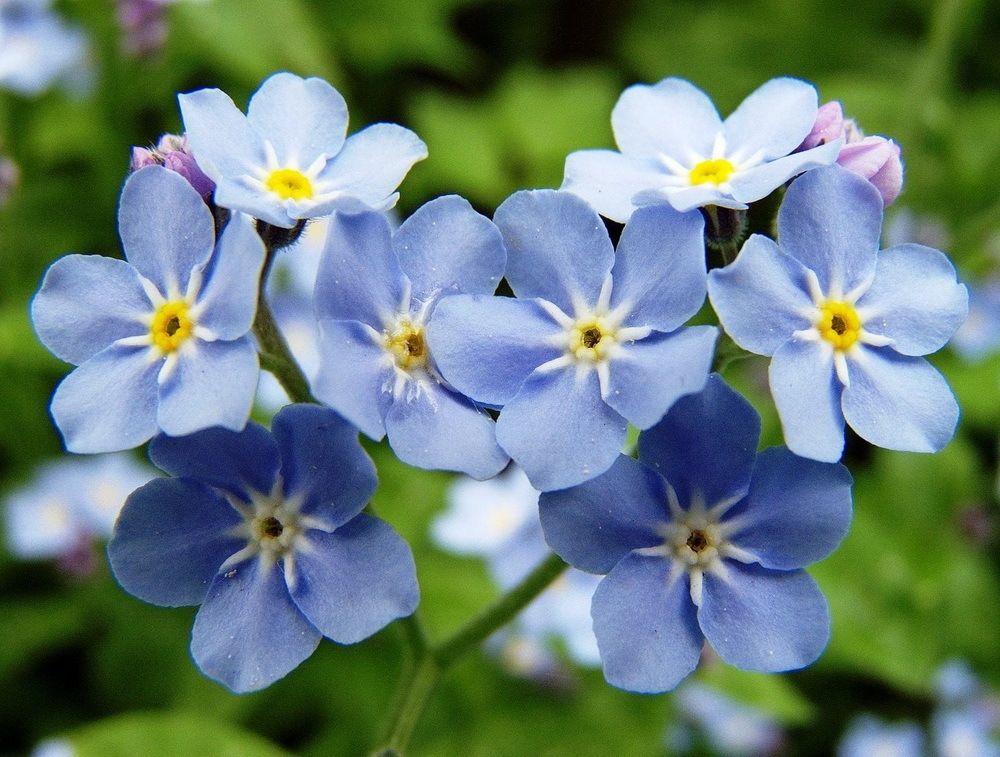 Photograph by Игорь Меньшенин