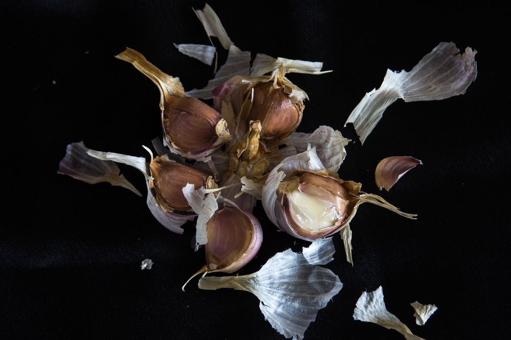 Photograph by Виктория Суркова