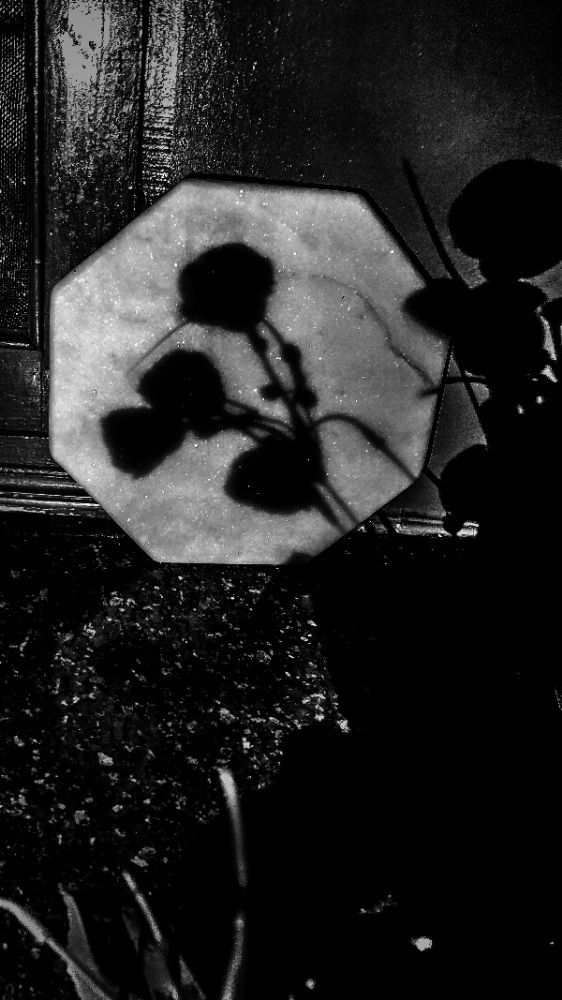 Photograph by Richa R