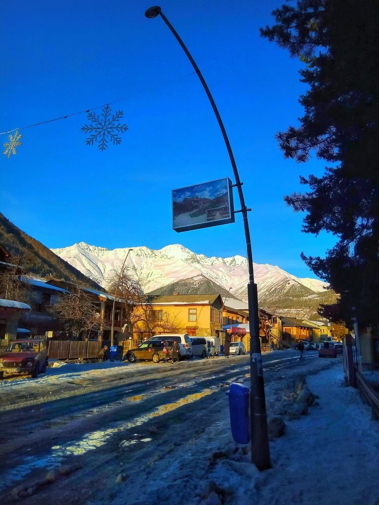 Photograph by Алла Холодова