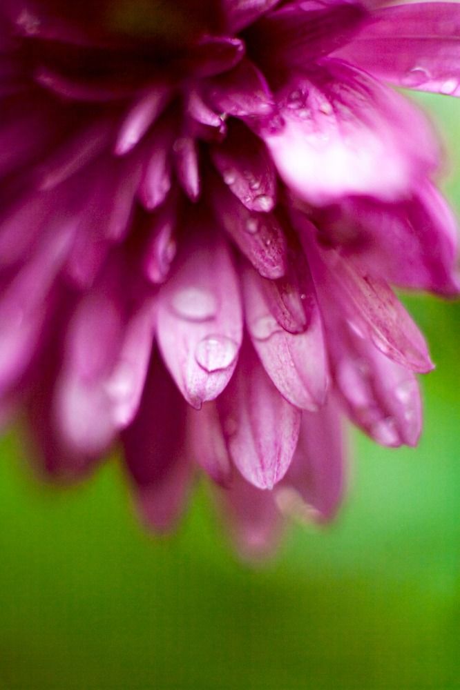 Photograph by Усатый Александр