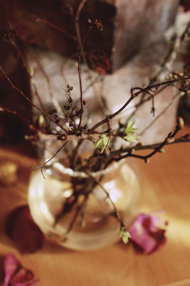 Ніжний ранок/  gentle  morning