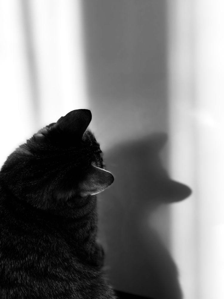 Photograph by Алия Айткалиева