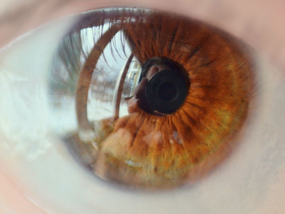 Отражение реальности